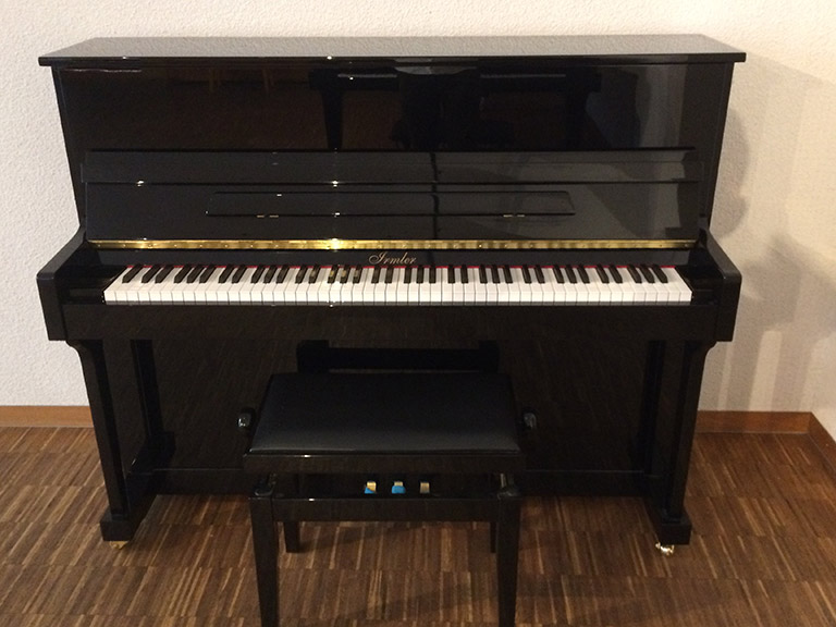 P118 Studio -